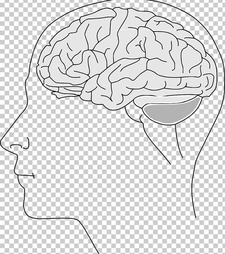 Human Brain Agy Intelligence Quotient PNG, Clipart, Anatomy, Area, Disease, Face, Hand Free PNG Download