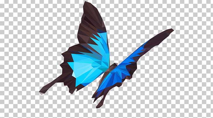Ulysses Butterfly Insect Illustration PNG, Clipart, Black Swallowtail, Butterfly, Collide, Insect, Insects Free PNG Download