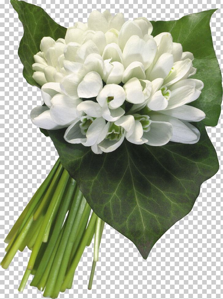 Snowdrop Flower PNG, Clipart, Artificial Flower, Background White, Black White, Cut Flowers, Encapsulated Postscript Free PNG Download
