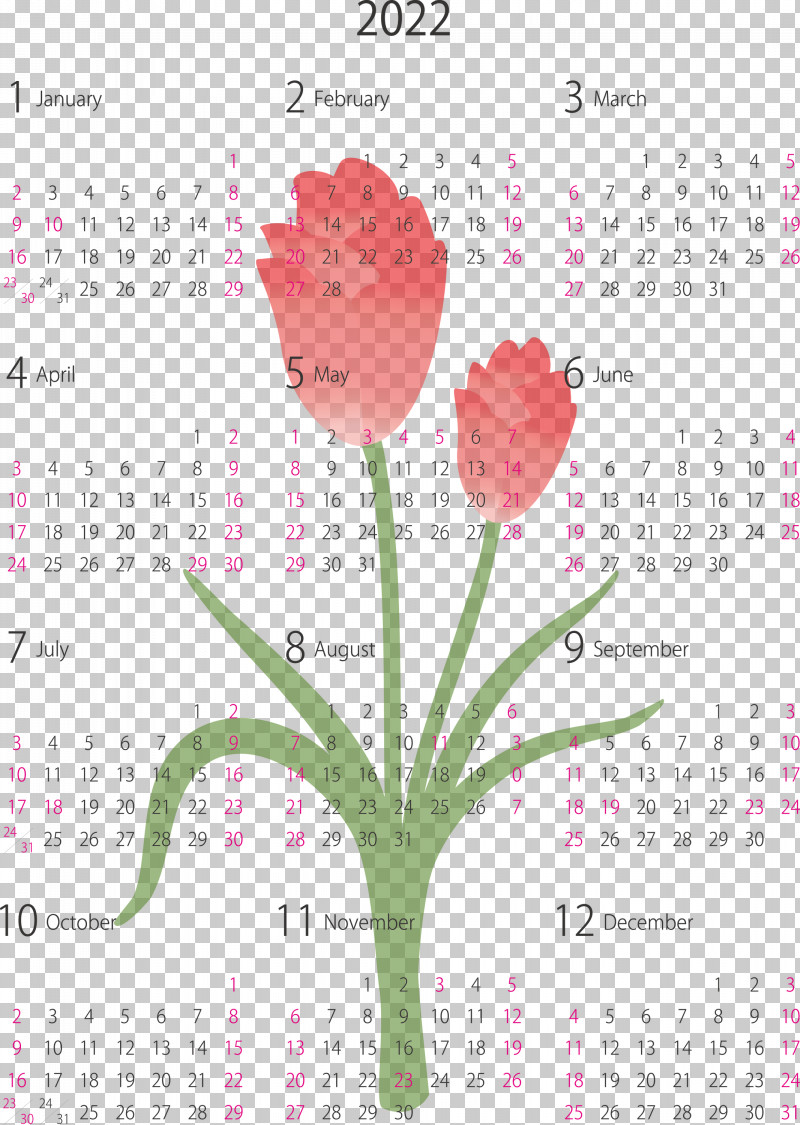 2022 Yearly Canlendar Printable 2022 Yearly Canlendar PNG, Clipart, Biology, Calendar System, Floral Design, Flower, Meter Free PNG Download