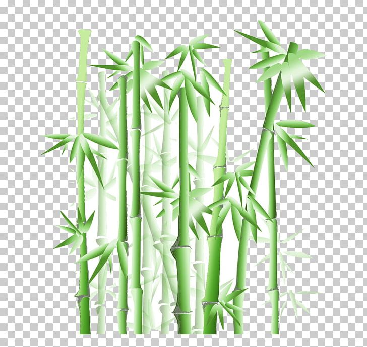 Bamboo PNG, Clipart, Bamboo, Bamboo Vector, Branch, Chinese Painting, Euclidean Vector Free PNG Download