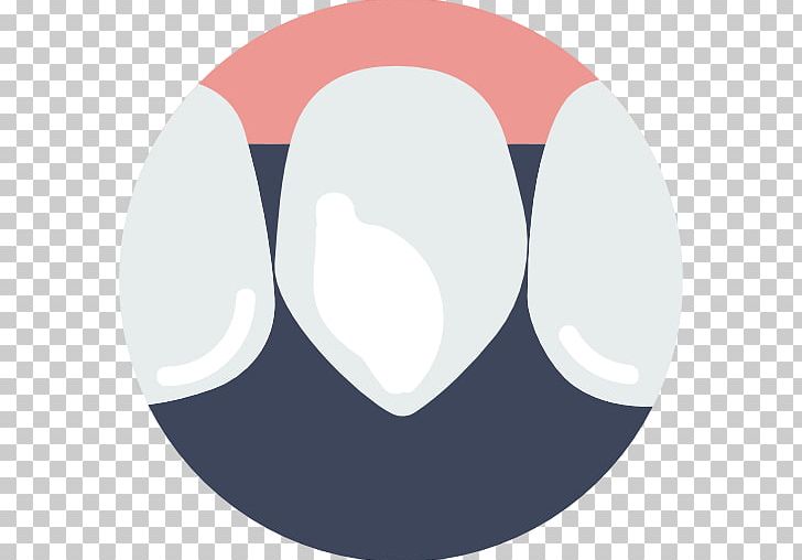 Human Tooth Canine Tooth Dentistry Computer Icons PNG, Clipart, Canine, Canine Tooth, Circle, Computer Icons, Dental Free PNG Download