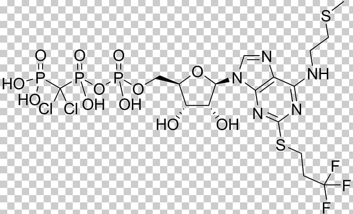 CGS-21680 Chemical Compound Flavin Adenine Dinucleotide Coenzyme Cyclic Adenosine Monophosphate PNG, Clipart, Adenine, Adenosine, Adp, Agonist, Angle Free PNG Download