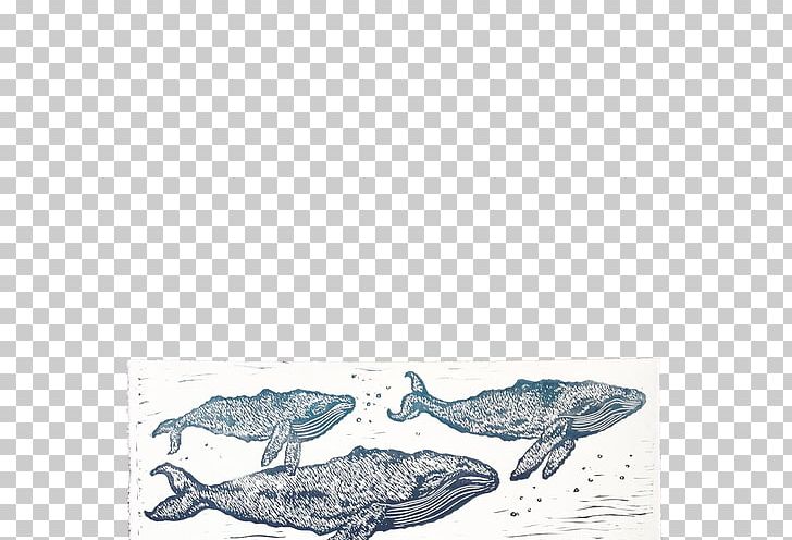 Marine Mammal Dolphin Wind Wave Drawing PNG, Clipart, Animal, Animals, Art, Bird, Black And White Free PNG Download