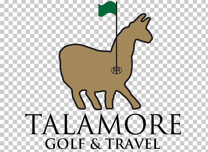 Talamore Golf Resort Talamore Drive Golf Course Village Of Pinehurst Area Golf Association PNG, Clipart, Animal Figure, Area, Artwork, Camelids, Camel Like Mammal Free PNG Download