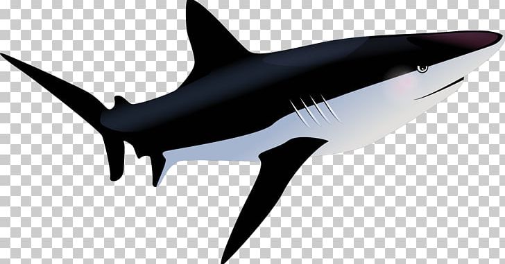 Tiger Shark Fish PNG, Clipart, Animal, Animals, Animation, Big Shark, Blue Shark Free PNG Download