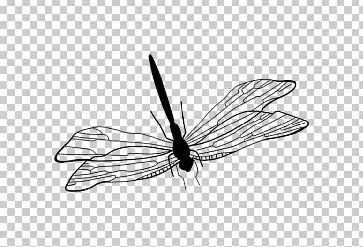 Butterfly Dragonfly Icon PNG, Clipart, Arthropod, Black, Hand, Hand Drawn, Insects Free PNG Download