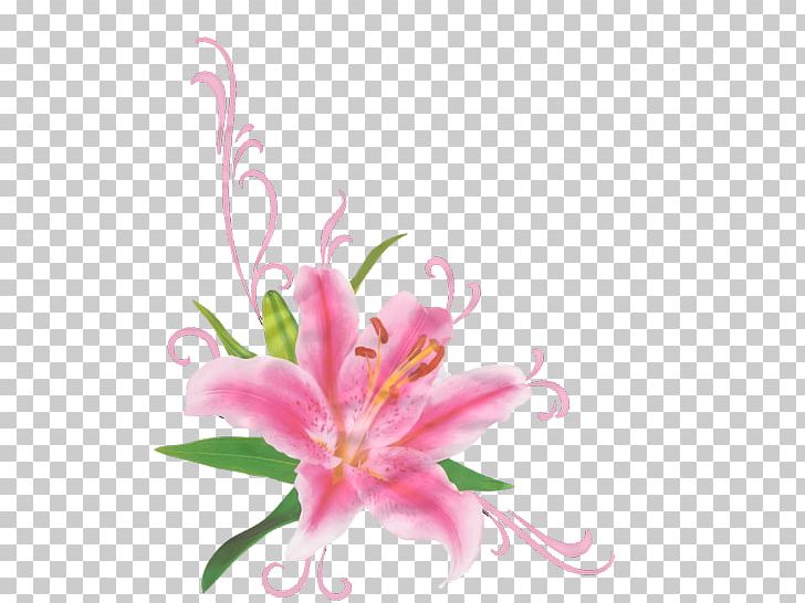 Cut Flowers Lilium Flower Bouquet PNG, Clipart,  Free PNG Download