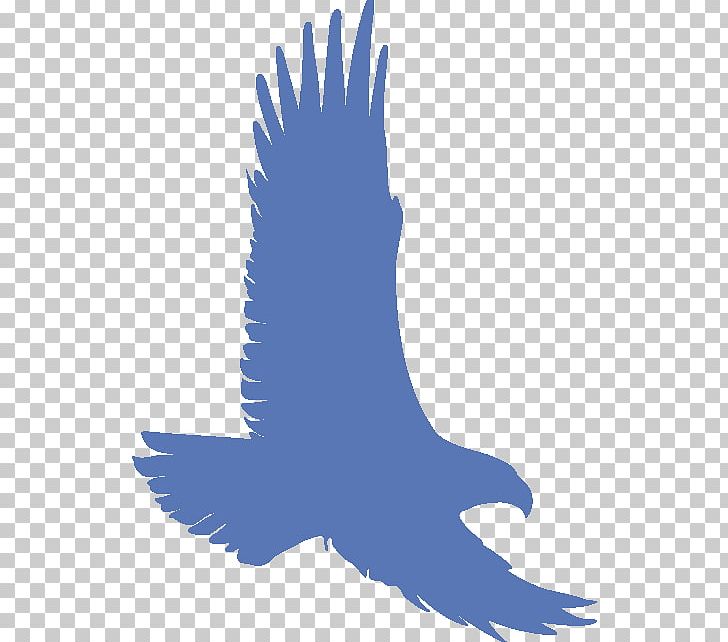 Eagle Silhouette Stencil Aerography Boffi Consultoria Imobiliária PNG, Clipart, Abziehtattoo, Aerography, Animal, Animals, Art Free PNG Download