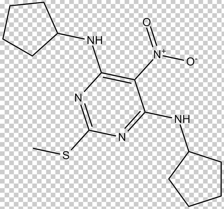 GABAA Receptor Ion Channel GABA Receptor Chemistry Chloride PNG, Clipart, Angle, Area, Black And White, Chemical Compound, Chemical Substance Free PNG Download