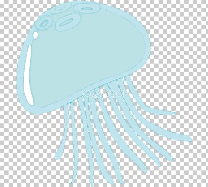 Jellyfish Illustration Sea Moon Jelly Kamo Aquarium PNG, Clipart, Aqua, Gratis, Headgear, Invertebrate, Jellyfish Free PNG Download