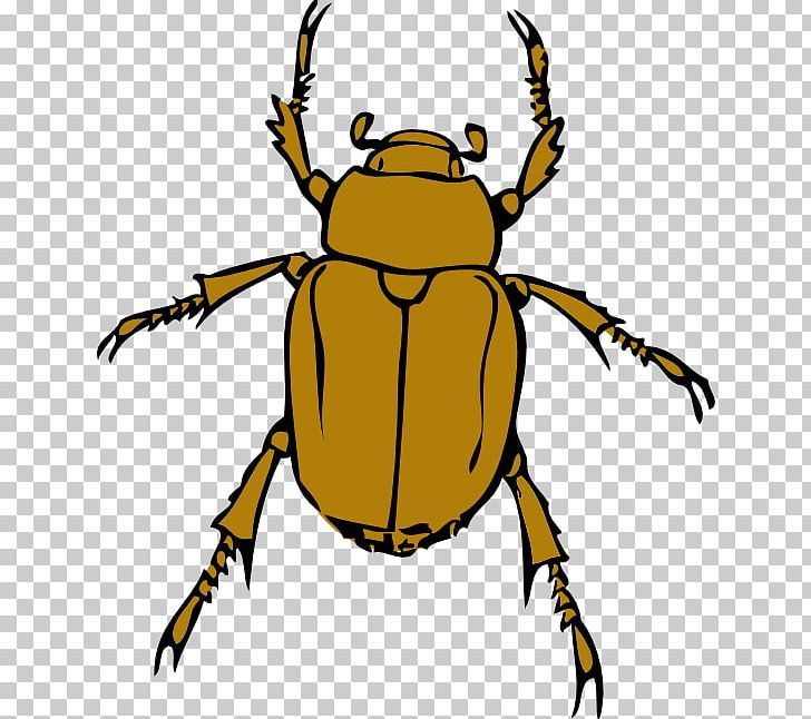 2017 Volkswagen Beetle PNG, Clipart, 2017 Volkswagen Beetle, Arthropod, Artwork, Beak, Bee Free PNG Download