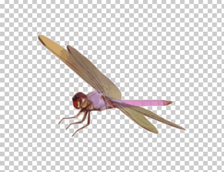 Dragonfly Damselfly PNG, Clipart, Arthropod, Damselfly, Dragonflies And Damseflies, Dragonfly, Dragonfly Yellow Free PNG Download