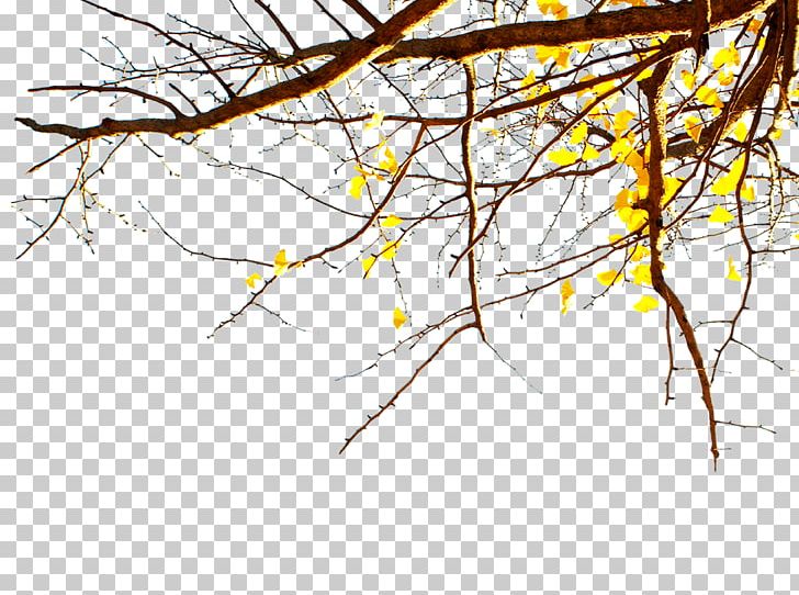 LINE Illustration PNG, Clipart, Autumn, Autumn Tree, Branch, Branches, Computer Wallpaper Free PNG Download