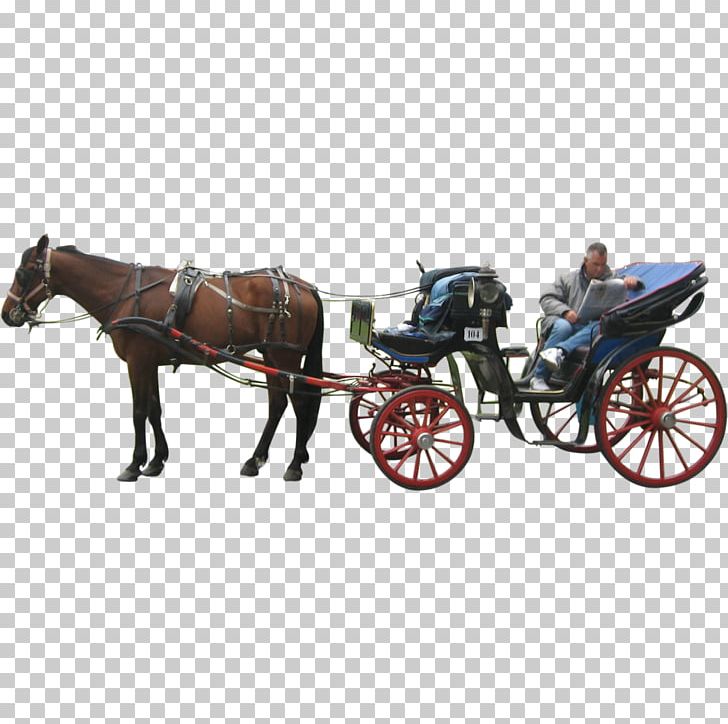 Horse And Buggy Carriage Cart PNG, Clipart, Animals, Baby Transport, Bridle, Car, Carriage Free PNG Download