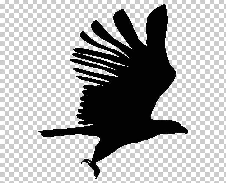 Bird Millionaires In Motion Computer Icons Beak Desktop PNG, Clipart, Animals, Beak, Bird, Bird Of Prey, Black And White Free PNG Download