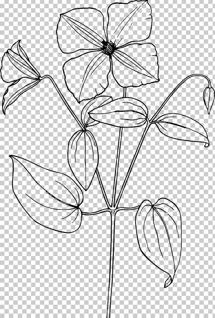 Drawing Flower PNG, Clipart, Angle, Arabian Jasmine, Area, Art, Artwork Free PNG Download
