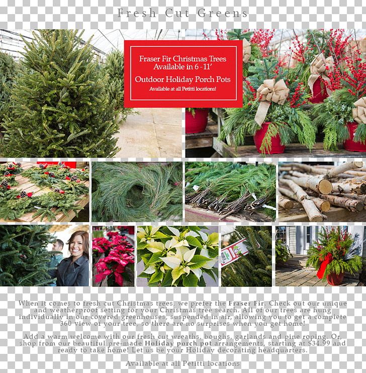 Floral Design Landscaping Tree PNG, Clipart, Art, Evergreen, Flora, Floral Design, Floristry Free PNG Download