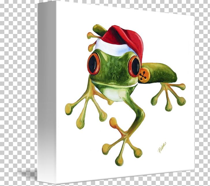 The Tree Frog True Frog Christmas Tree PNG, Clipart, Amphibian, Animals, Australian Green Tree Frog, Christmas, Christmas Card Free PNG Download