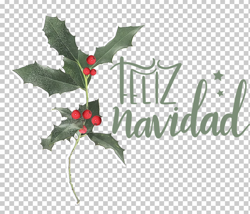 Holly PNG, Clipart, Aquifoliaceae, Aquifoliales, Feliz Navidad, Flora, Flower Free PNG Download