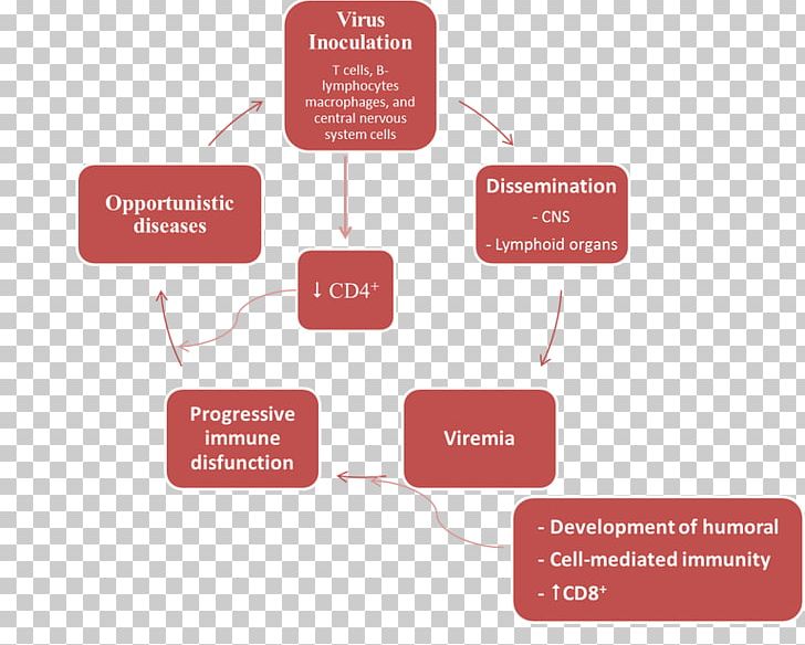 Brand Organization Diagram PNG, Clipart, Art, Biochemistry, Brand, Communication, Context Free PNG Download