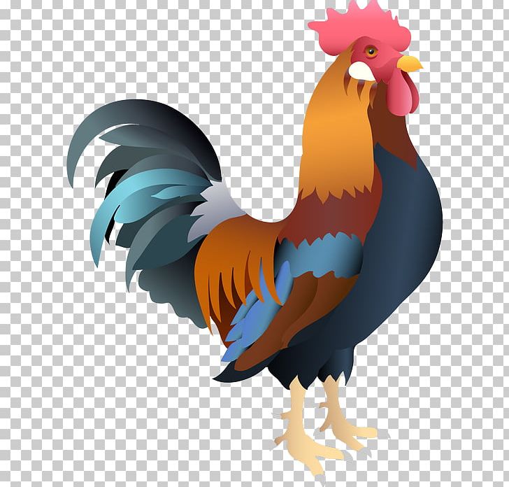 Rooster Chicken PNG, Clipart, Animaatio, Animals, Animated Film, Beak, Bird Free PNG Download