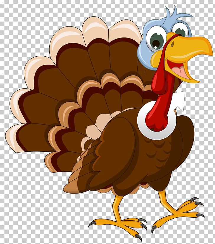 Thanksgiving PNG, Clipart, Beak, Bird, Cartoon, Chicken, Clip Art Free PNG Download