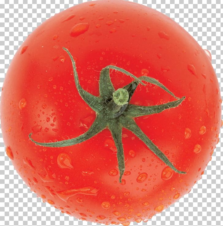 Top View Fresh Tomato PNG, Clipart, Food, Tomatoes, Vegetables Free PNG Download