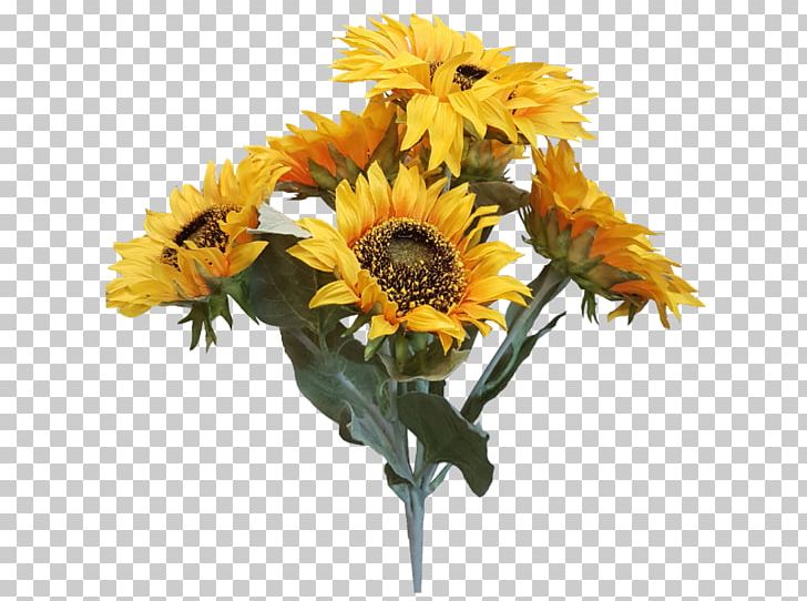 Common Sunflower Cut Flowers Artificial Flower Flower Bouquet PNG, Clipart, Artificial Flower, Chrysanthemum, Common Sunflower, Cut Flowers, Daisy Family Free PNG Download