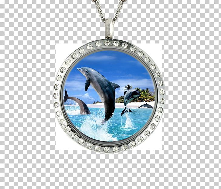 Desktop S 3d IPhone 7 Dolphin PNG, Clipart, Animals, Computer, Desktop Wallpaper, Dolphin, Download Free PNG Download