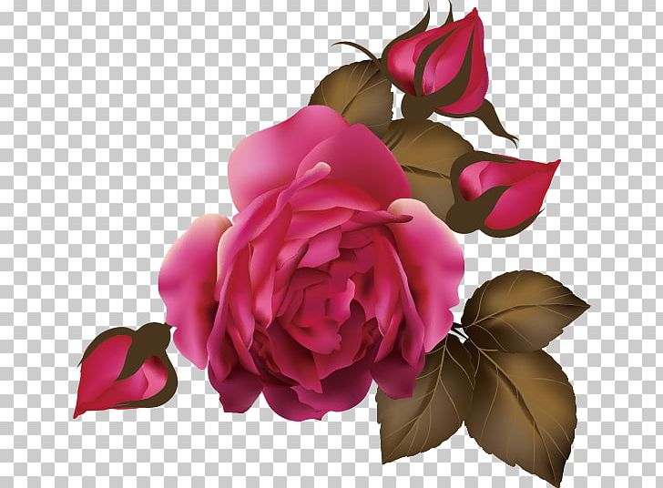 Flores (Flowers) Rose Euclidean PNG, Clipart, Encapsulated Postscript, Fine, Floribunda, Flower Plants, Flowers Free PNG Download