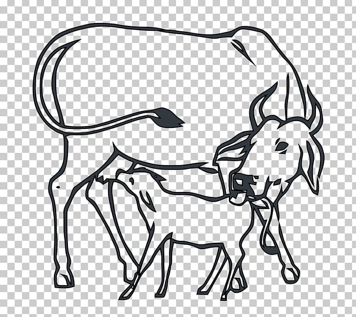 Indian National Congress Brahman Cattle Calf PNG, Clipart, Animals, Fictional Character, Head, Horse, Horse Supplies Free PNG Download
