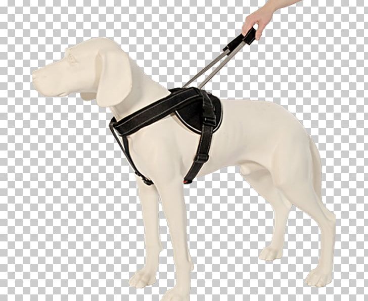 Leash Dog Harness Horse Harnesses Braces PNG, Clipart, Animals, Bazar, Braces, Carnivoran, Climbing Harnesses Free PNG Download
