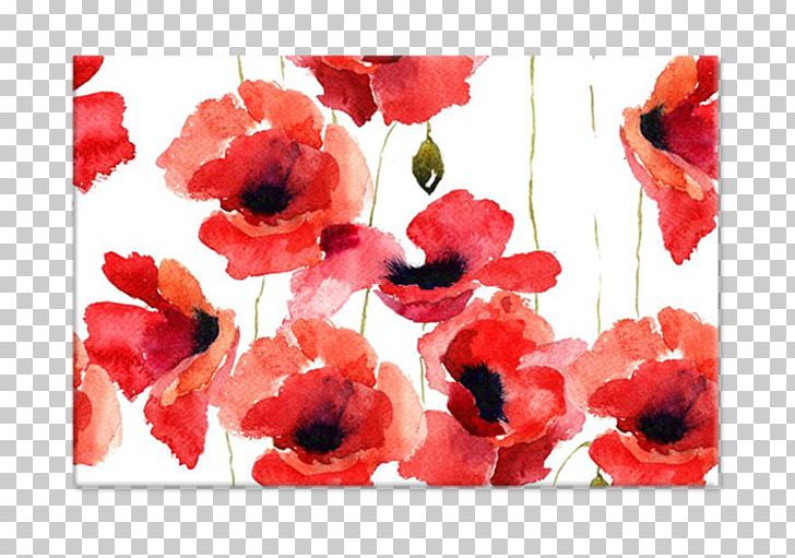 Common Poppy Stock Photography Flower PNG, Clipart, Armistice Day, Common Poppy, Coquelicot, Floral Design, Flower Free PNG Download