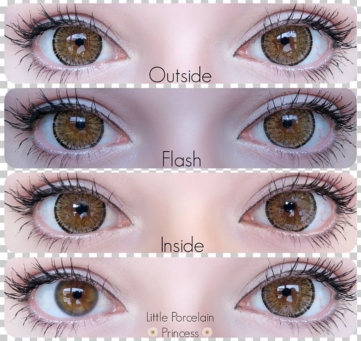 Eye Iris Lens Color Violet PNG, Clipart, Brown, Circle Contact Lens, Closeup, Color, Contact Lens Free PNG Download