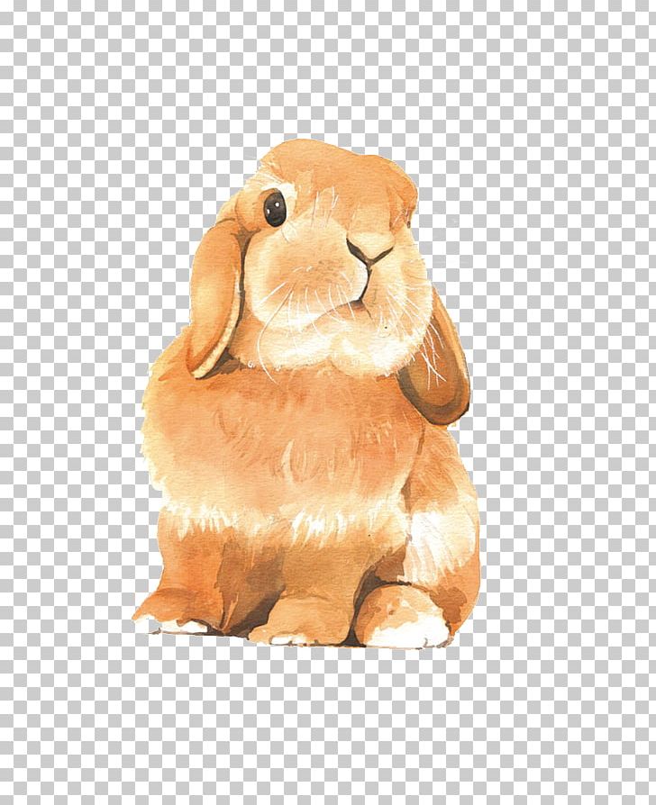 Watercolor Painting Drawing Colored Pencil Rabbit PNG, Clipart, Animals, Book, Brown, Brown Bunny, Bunny Free PNG Download
