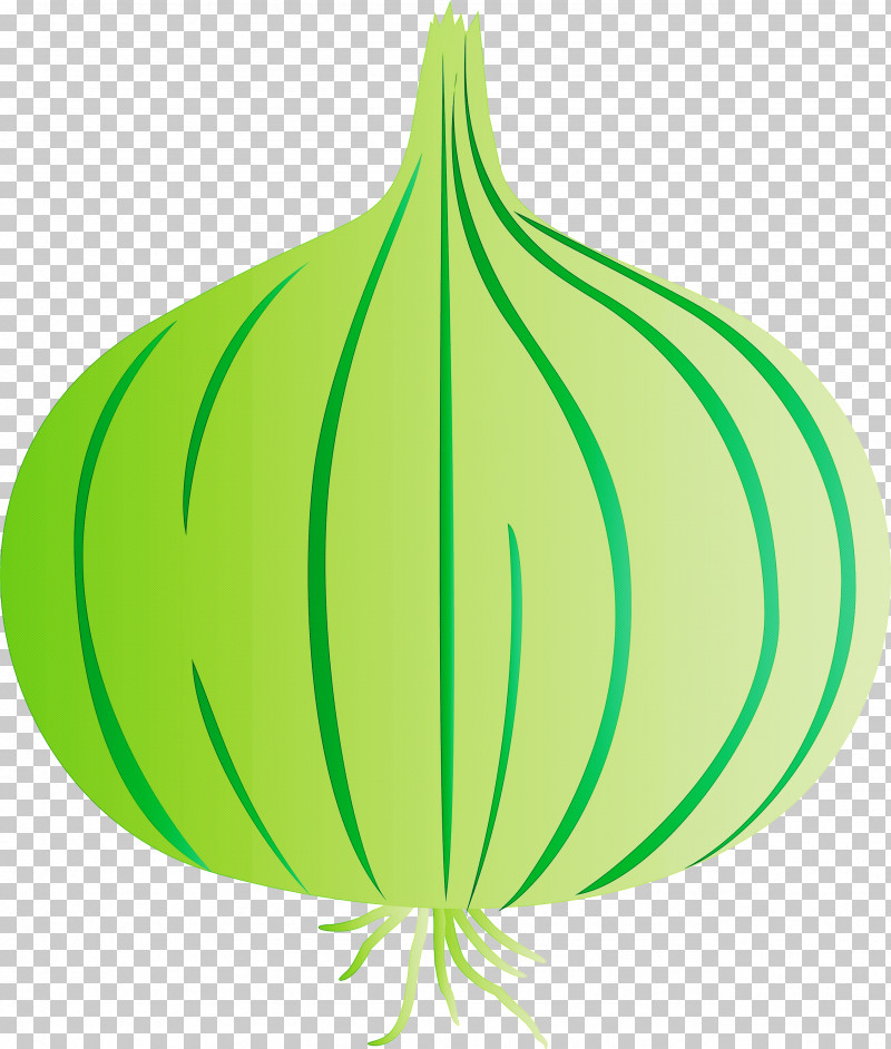 Onion PNG, Clipart, Commodity, Fruit, Green, Leaf, Line Free PNG Download