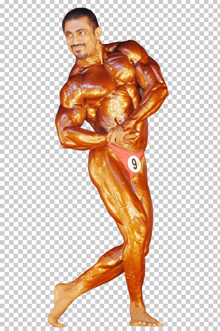 Female Bodybuilding Physical Fitness Human Body Muscle PNG, Clipart, Abdomen, Arm, Bodybuilder, Bodybuilding, Body Man Free PNG Download