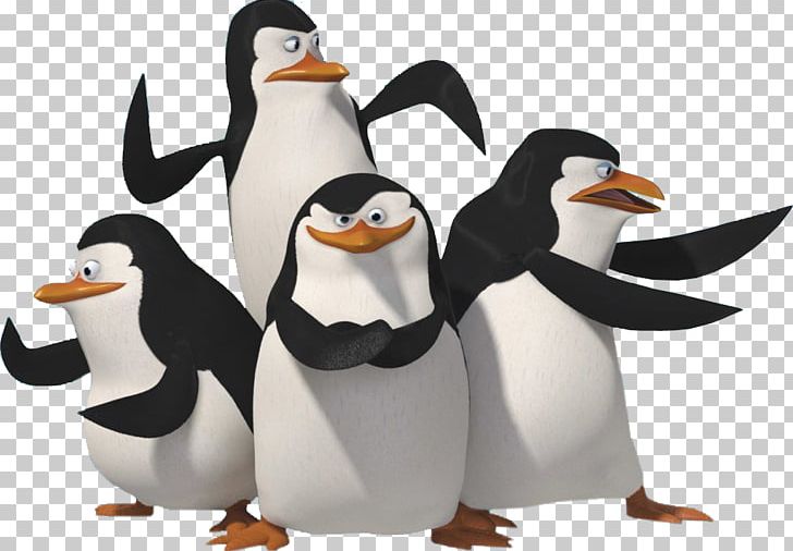Skipper Penguin Madagascar PNG, Clipart, Animals, Animation, Beak, Bird, Desktop Wallpaper Free PNG Download