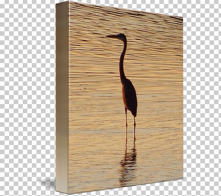 Water Bird Wood /m/083vt PNG, Clipart, Bird, M083vt, Water Bird, Wood Free PNG Download