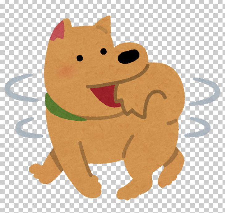 Cat Shiba Inu Puppy Pet Kitten PNG, Clipart, Animal, Animal Euthanasia, Carnivoran, Cat, Cat Like Mammal Free PNG Download