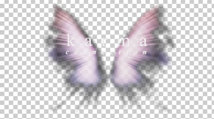 Ear PNG, Clipart, Butterfly, Ear, Feather, Insect, Invertebrate Free PNG Download