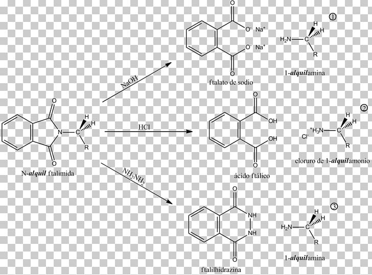 Gabriel Synthesis Amine Phthalimide Haloalkane Alkyl PNG, Clipart, Amine, Angle, Area, Black And White, Chemical Reaction Free PNG Download
