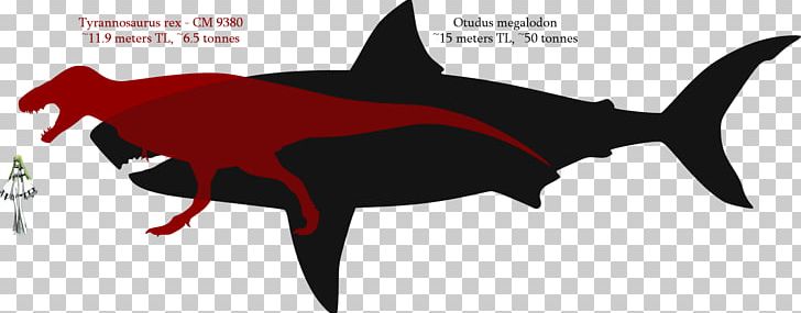 Great White Shark Mosasaurus Tyrannosaurus Megalodon PNG, Clipart, Animal, Animals, Blue Whale, Carcharodon, Fauna Free PNG Download