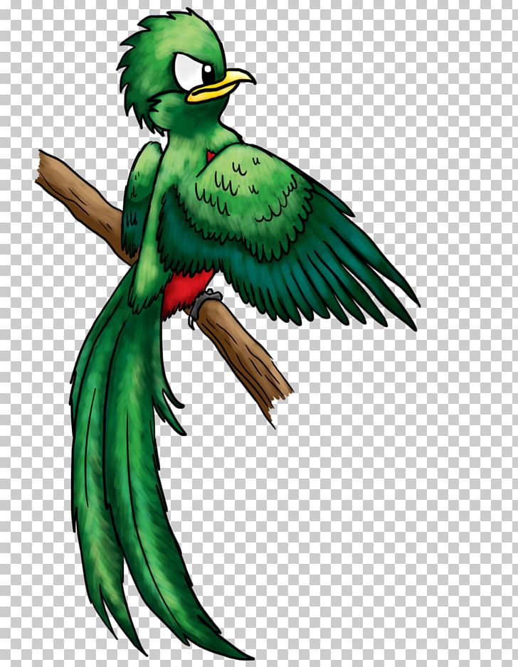 Macaw Parakeet Beak Feather PNG, Clipart, Animals, Art, Beak, Bird, Cartoon Free PNG Download
