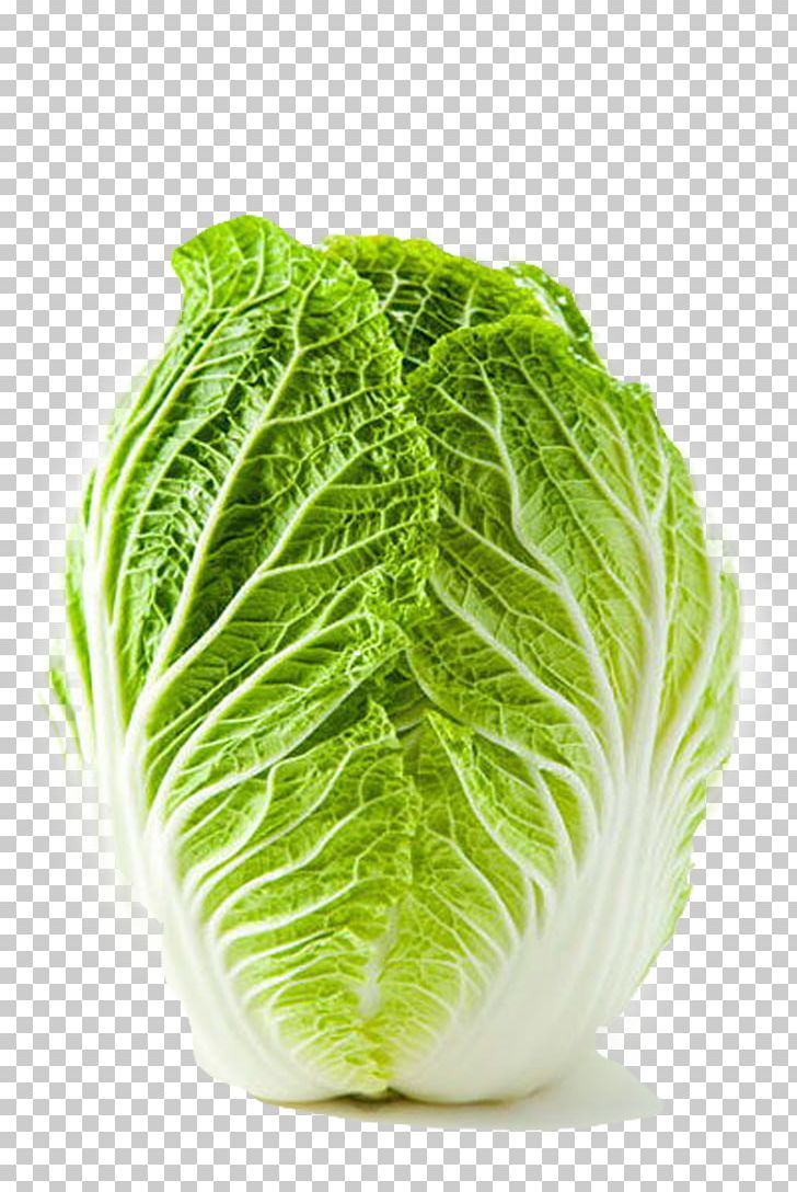 Shandong Lettuce Chinese Cabbage Shchi Vegetable PNG, Clipart, Blue, Bok Choy, Cabbage, Collard Greens, Cooking Free PNG Download