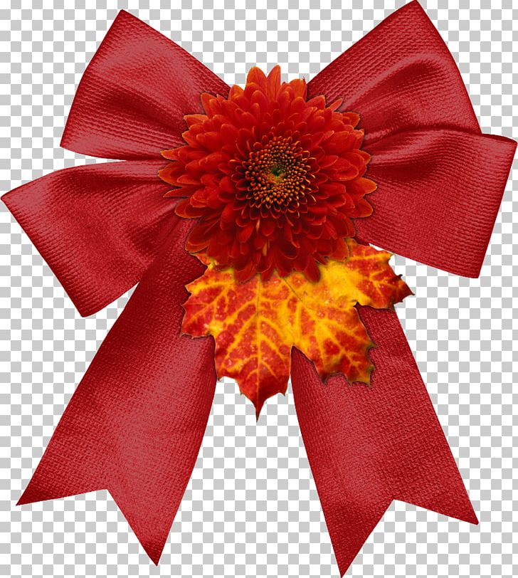 Red Ribbon Portable Network Graphics PNG, Clipart, Birthday, Christmas Day, Cut Flowers, Daisy Family, Drawing Free PNG Download