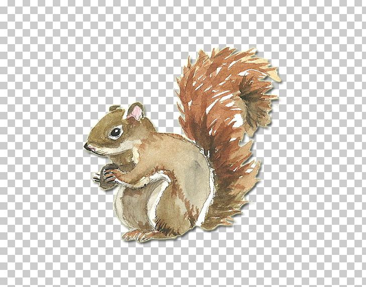 Squirrel Watercolor Painting CorelDRAW PNG, Clipart, Adobe Illustrator, Animal, Animals, Cartoon Squirrel, Chipmunk Free PNG Download