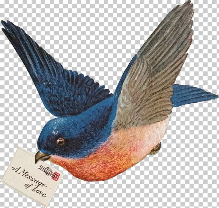 Bird Beak Art Sales Garage Sale PNG, Clipart, Animals, Antique, Art, Art Sales, Beak Free PNG Download