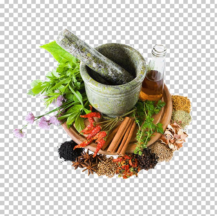 Herbalism Therapy Herbal Tonic Medicine PNG, Clipart, Alternative Health Services, Alternative Medicine, Ayurveda, Diet, Flowerpot Free PNG Download